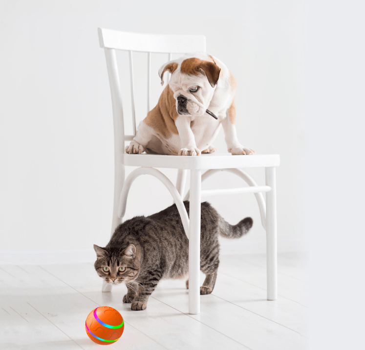 eszy2find cat ball Pet New Cat Wicked Ball Toy Intelligent Ball USB Cat Toys Self Rotating Ball Automatic Rotation Ball