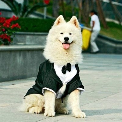 eszy2find pet clothing Black / 20 Golden Retriever Large Dog Pet Clothing