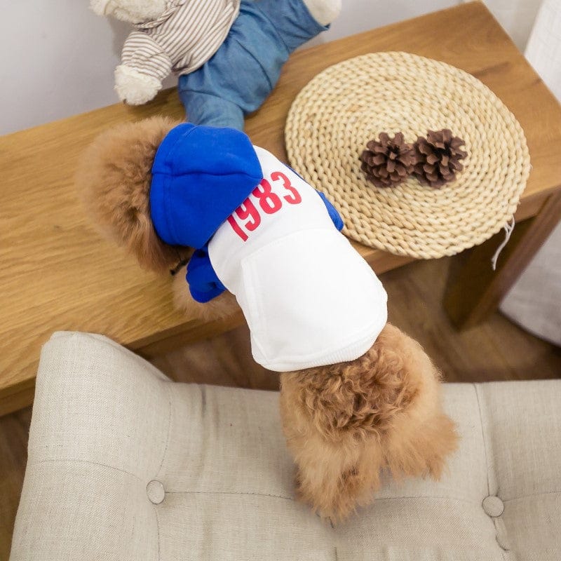 eszy2find pet clothing Blue / Pet XS New Hat Dog Two-legged Color Matching Fashion Pet Clothing