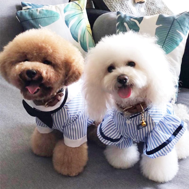 eszy2find pet clothing Breathable spring and summer pet clothing