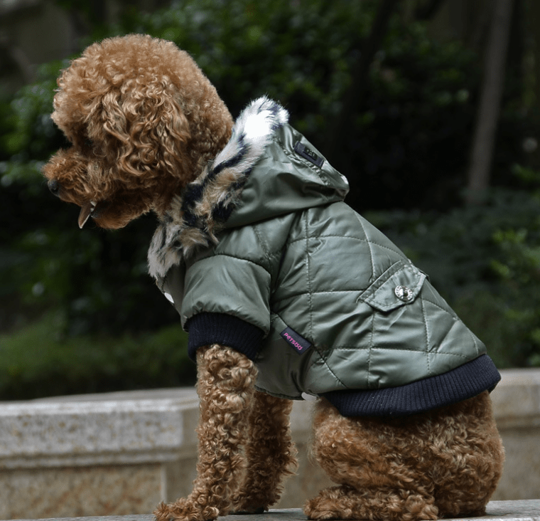 eszy2find pet clothing Cross-border pet supplies pet clothes dog clothes autumn and winter fur collar coat pet dog clothing