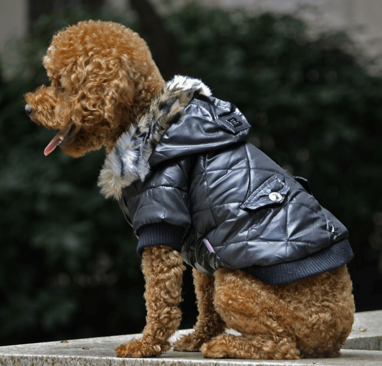 eszy2find pet clothing Cross-border pet supplies pet clothes dog clothes autumn and winter fur collar coat pet dog clothing