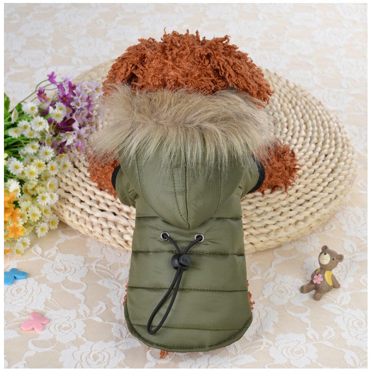 eszy2find pet clothing Green / XS Pet down cotton clothing