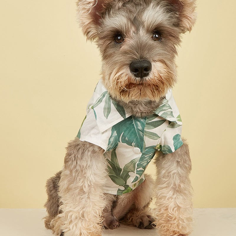 eszy2find pet clothing Ins Pet Clothing New Hawaiian Vacation Dog Shirt