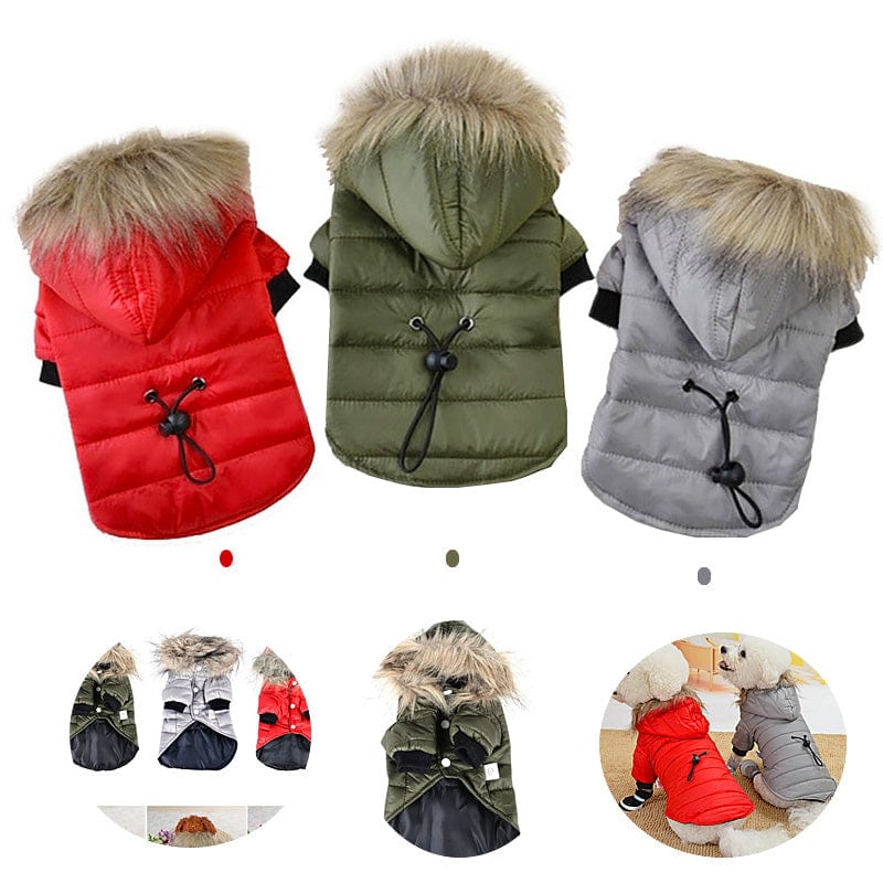 eszy2find pet clothing Pet Clothing Autumn And Winter Pet Sweater Teddy