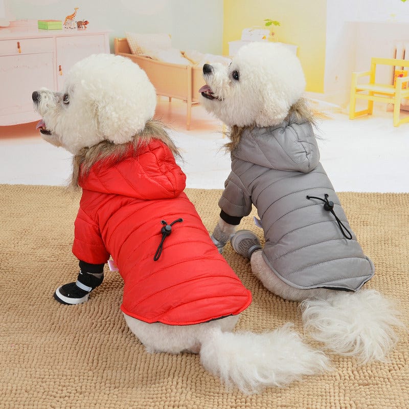 eszy2find pet clothing Pet  light and warm cotton clothing