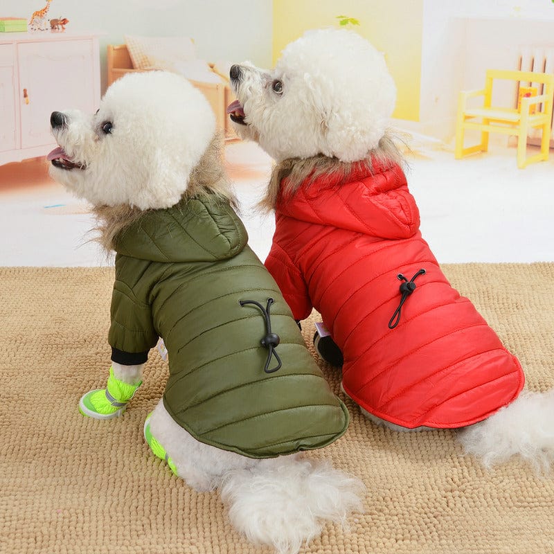 eszy2find pet clothing Pet  light and warm cotton clothing