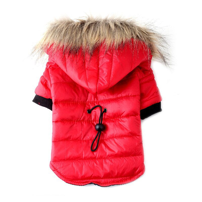 eszy2find pet clothing Red / L Pet Clothing Autumn And Winter Pet Sweater Teddy