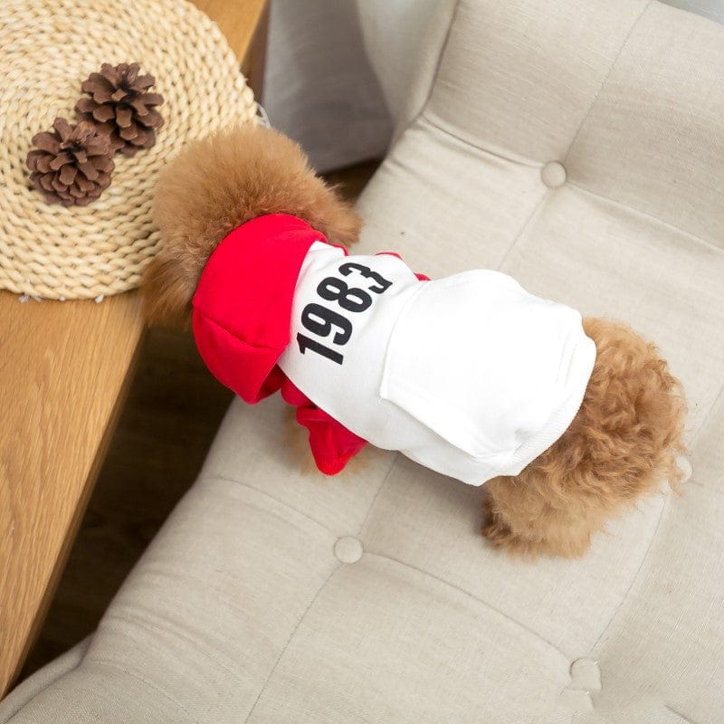 eszy2find pet clothing Red / Pet XL New Hat Dog Two-legged Color Matching Fashion Pet Clothing