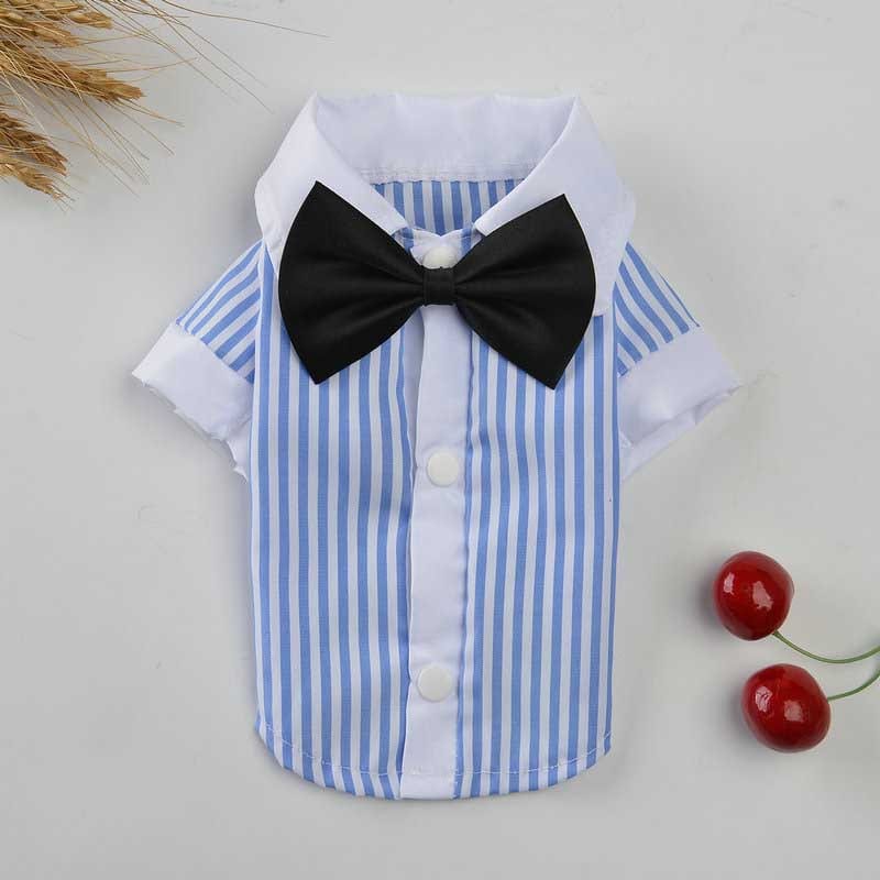 eszy2find pet clothing Shirt / M Breathable spring and summer pet clothing