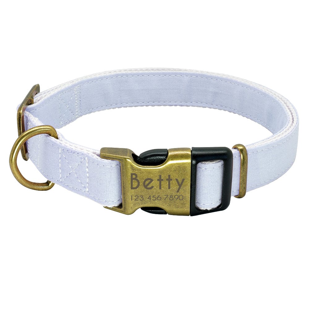 eszy2find pet collar Blue / S Pet products luminous collar at night