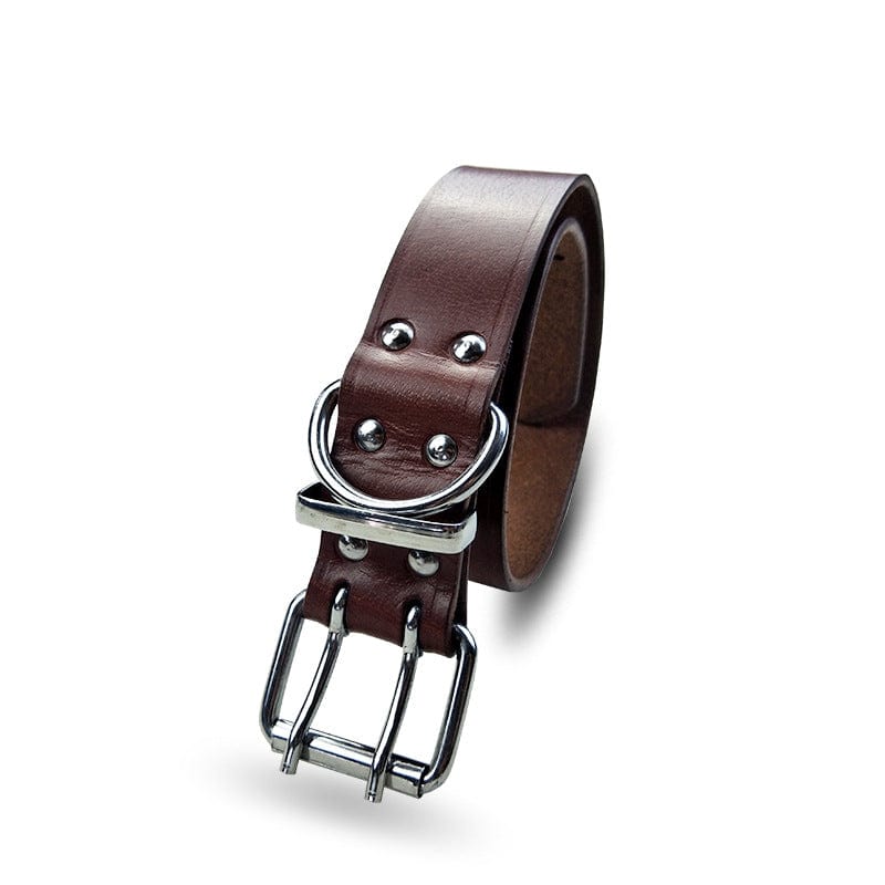 eszy2find pet grooming products Brown / S Pet products leather collar