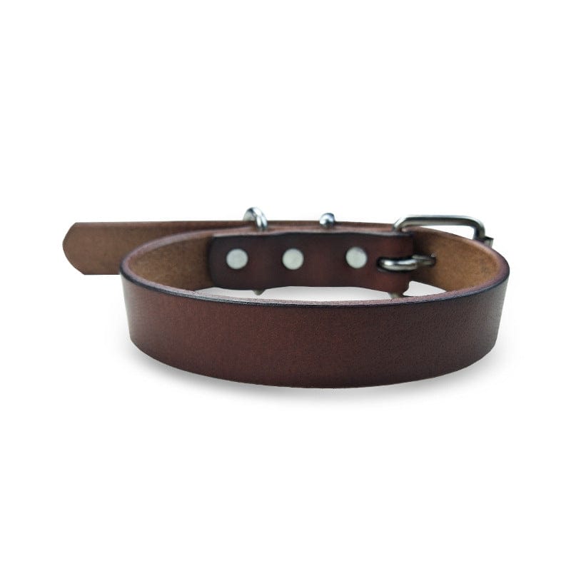 eszy2find pet grooming products Pet products leather collar