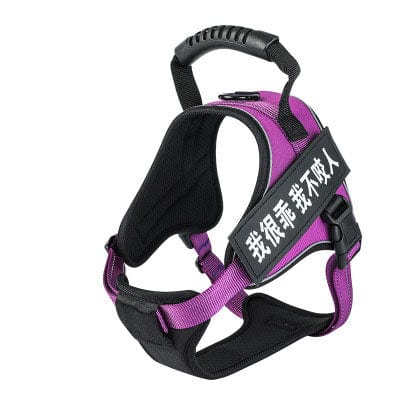 eszy2find pet harness Purple / XS Pet Harness