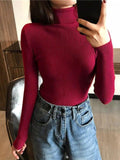 ezy2find Burgundy / One Size 2022 Autumn Winter Thick Sweater Women Knitted Ribbed Pullover Sweater Long Sleeve Turtleneck Slim Jumper Soft Warm Pull Femme